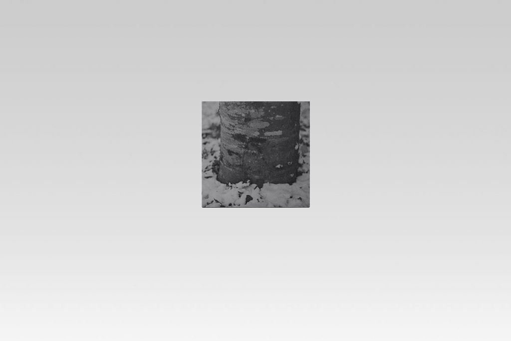 Novembre 2025 7, 6 x 6 cm